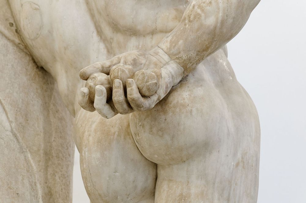 Vue de l'arrière de la statue de l'Hercule Farnèse, montrant la main du demi-dieu tenant les pommes d'or du jardin des Hespérides... de même qu'un fessier remarquable.