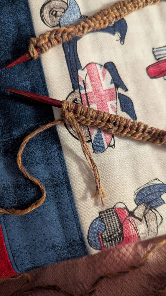 Knitting needles with yarn casted onto them. There is two short inches of yarn hanging by a thread to the end of the cast on. 