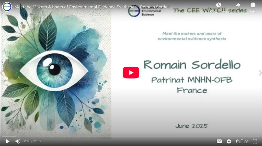 CEEWatch Romain Sordello