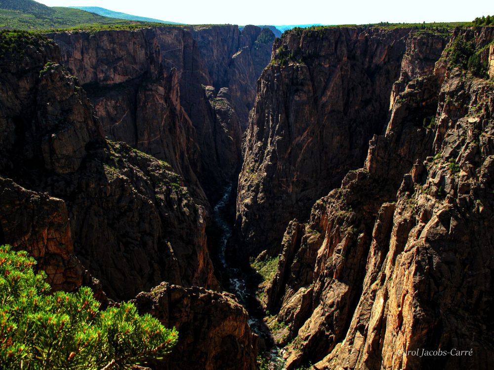 Looking at the rim of the Black Canyon, you can see the deep narrow cleft in the dark rocks and abundant shrubs and small trees lining the edges. Down below, the Gunnison River continues its job carving through the rocks.
"About 60 million years ago, a small area of land uplifted and brought 1.8 billion year old metamorphic rock to high elevations. This is called the Gunnison Uplift. About 30 million years ago, large volcanoes erupted on either side of this uplift, burying it in volcanic rock. Then, as early as two million years ago, the Gunnison River began flowing in force. The river and time eroded all of the volcanic rock and cut a deep canyon in the metamorphic rock below.
What you see today is a deep, steep, and narrow canyon: the Black Canyon of the Gunnison." National Park Service info