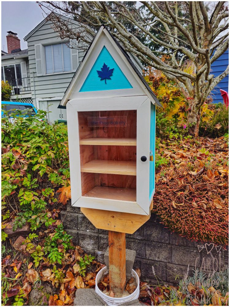 A Little Free Bakery has been set up in front of a neighborhood house. The LFB, made of wood painted light turquoise blue, has a window door with white trim, three shelves (empty for  now), and a peaked roof with the frontispiece painted blue with a dark blue maple leaf.  It is set against a stone wall full of Oregon grape and autumn's dead leaves.