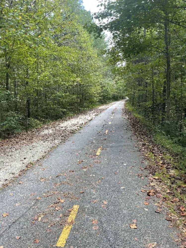 bike log: there are several of us!