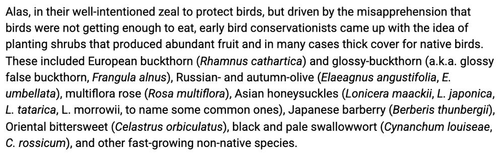 screenshot: "Alas, in their well-intentioned zeal to protect birds, but driven by the misapprehension that birds were not getting enough to eat, early bird conservationists came up with the idea of planting shrubs that produced abundant fruit and in many cases thick cover for native birds. These included European buckthorn (Rhamnus cathartica) and glossy-buckthorn (a.k.a. glossy false buckthorn, Frangula alnus), Russian- and autumn-olive (Elaeagnus angustifolia, E. umbellata), multiflora rose (Rosa multiflora), Asian honeysuckles (Lonicera maackii, L. japonica, L. tatarica, L. morrowii, to name some common ones), Japanese barberry (Berberis thunbergii), Oriental bittersweet (Celastrus orbiculatus), black and pale swallowwort (Cynanchum louiseae, C. rossicum), and other fast-growing non-native species."