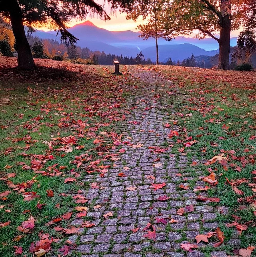 Stone tile path through the countryside, with lots of red leaves on the grass and the path. The path ends between two trees that frame a sunrise between the mountains.