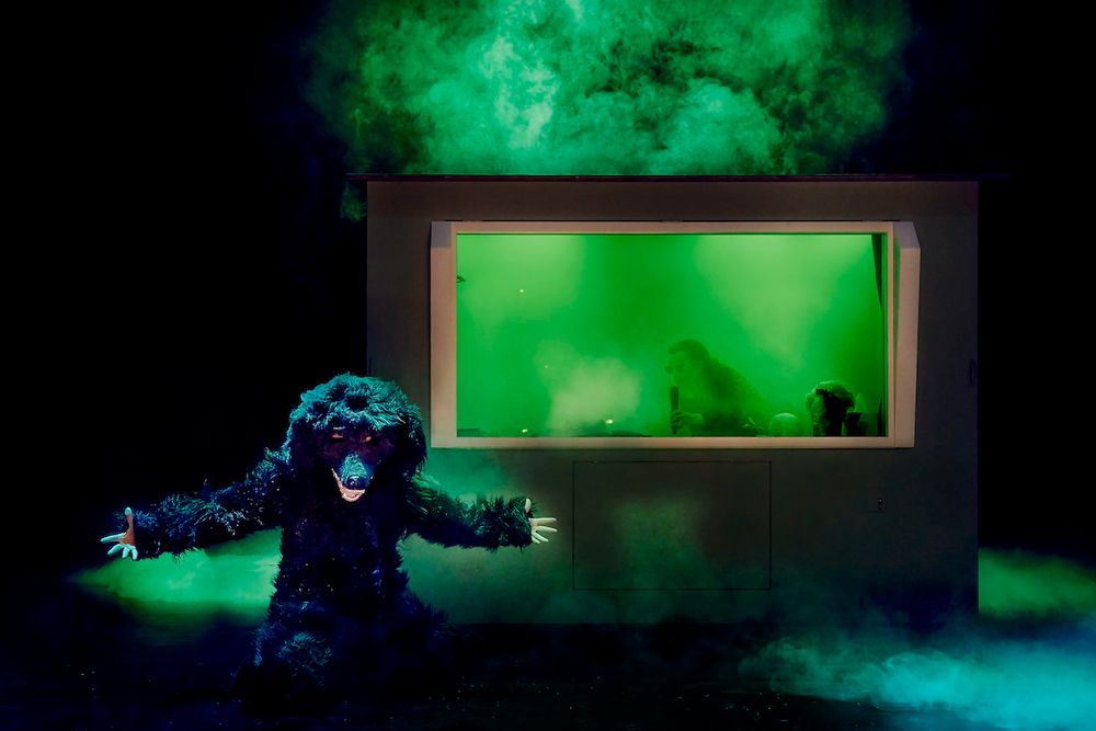 Ein Spieler im Pudelkostüm. Szene aus: Goethes "Faust" in der Regie von Max Merker am Vorarlberger Landestheater Bregenz © Anja Köhler