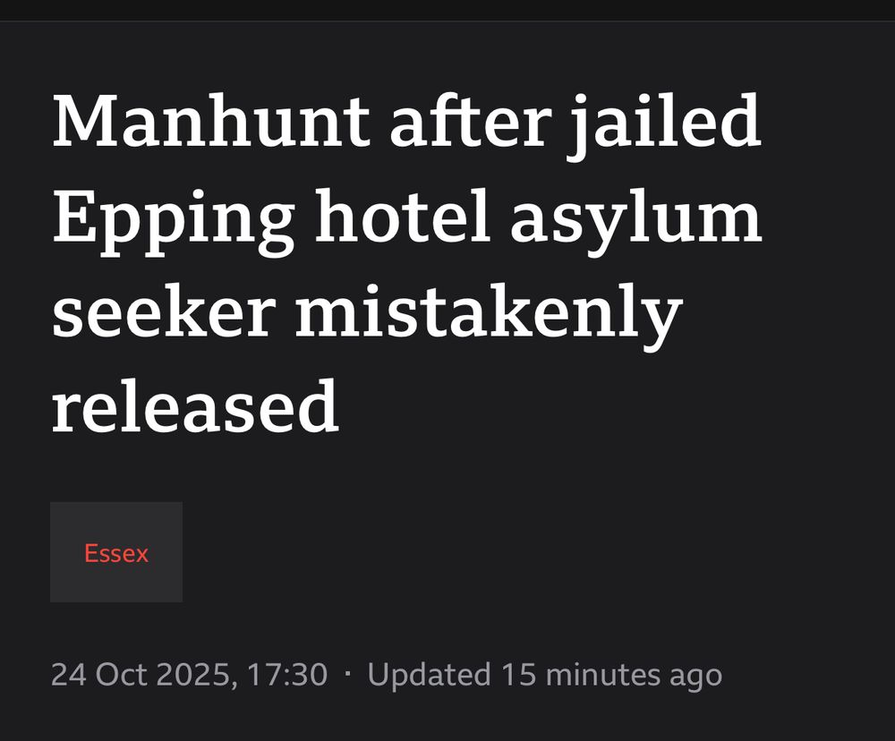 BBC website headline that reads “Manhunt after jailed Epping hotel asylum seeker mistakenly released”