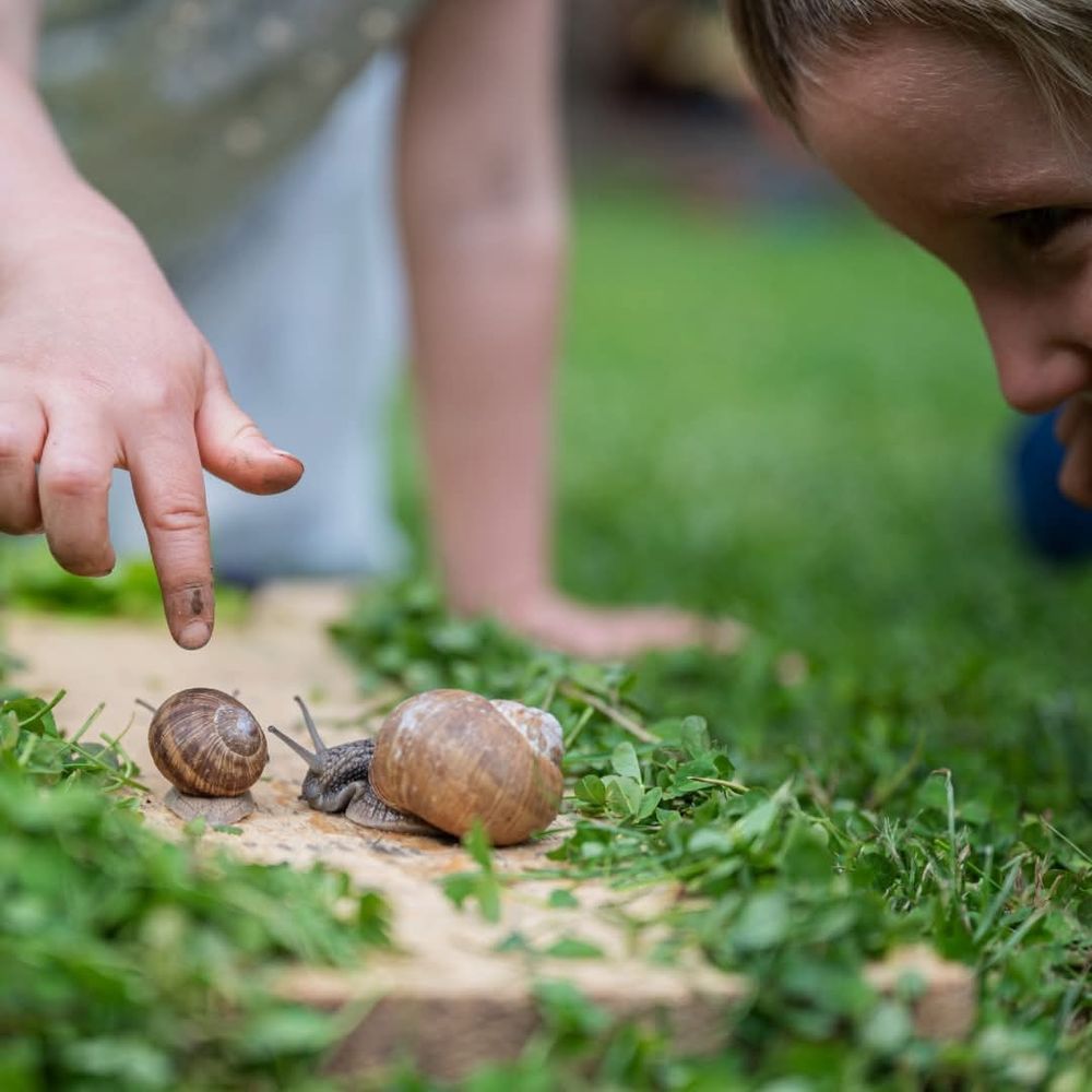 The photo is zoomed in on snails in a little dirt path, surrounded by grass. A small child's hand points at the snail with curiosity. Another small child looks at the creatures with joy and wonder. This picture illustrates how we must have the kindness and curiosity of a child to protect and restore the Earth with Animist practices.