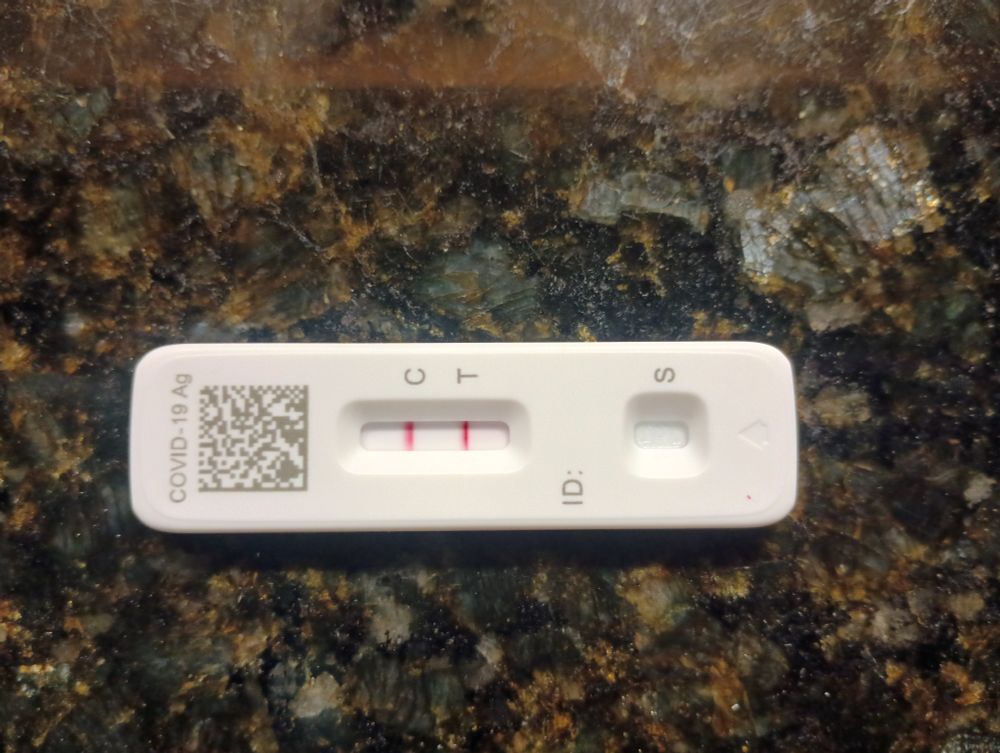 Two red lines on a Covid home test.