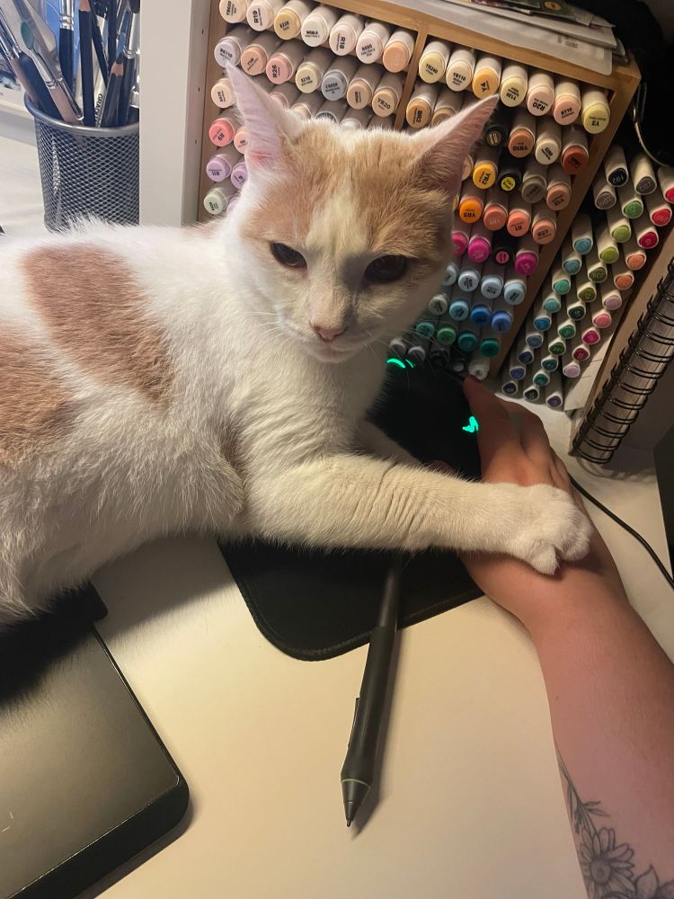 my cat franco gripping my hand because he decided he's more important than my working (he is)
