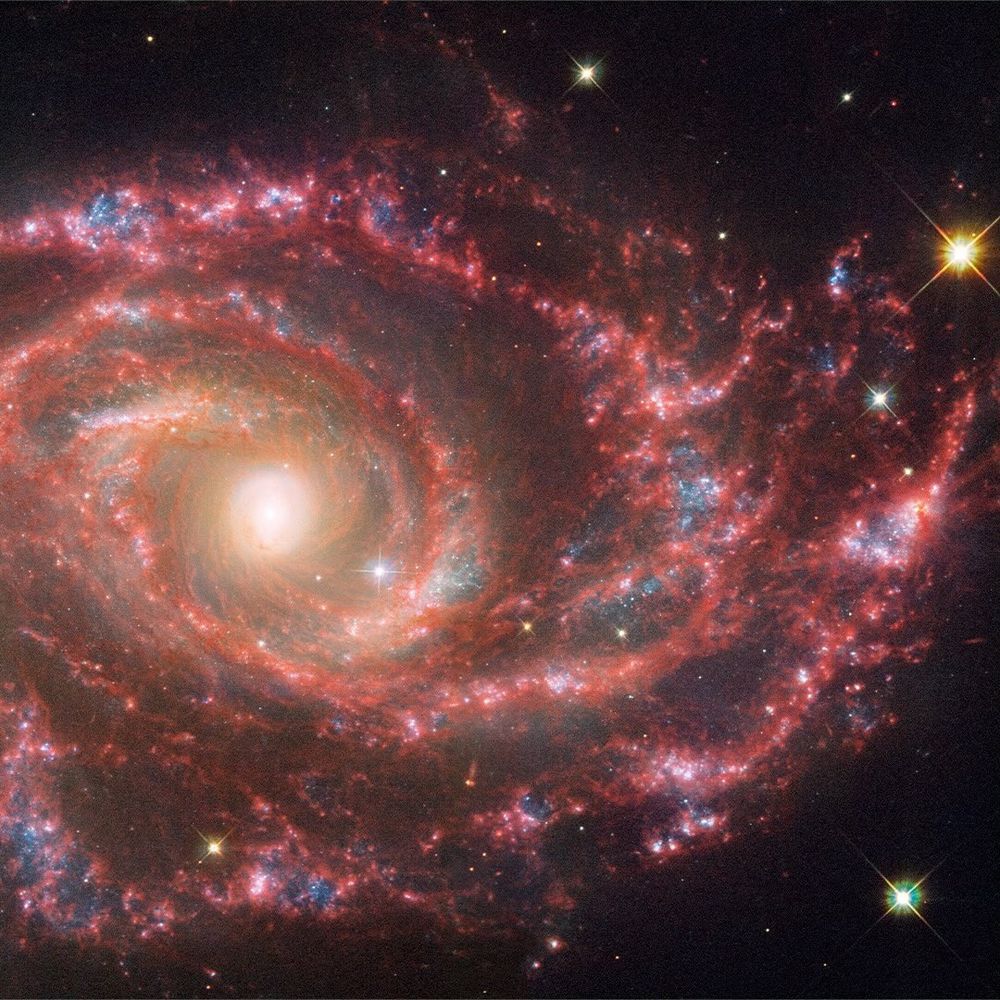  Credit: NASA, ESA, CSA, STScI⁣
⁣ nasa
 Don’t turn your back, don’t look away, and don’t blink!⁣... 
more