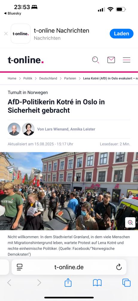 Screenshot von mobiler Ansicht der t-online Website, Artikel über AfD-Politikerin in Norwegen 