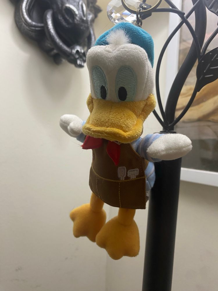 keychain of Donald Duck as a sculpter.