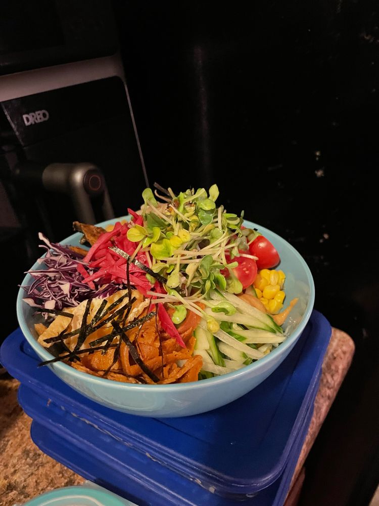 Bowl of noodles topped with cherry tomatoes, cucumber, corn, bean sprouts, vegan ham, sautéed mushrooms, red cabbage, pickled ginger, shredded nori and daikon sprouts.
