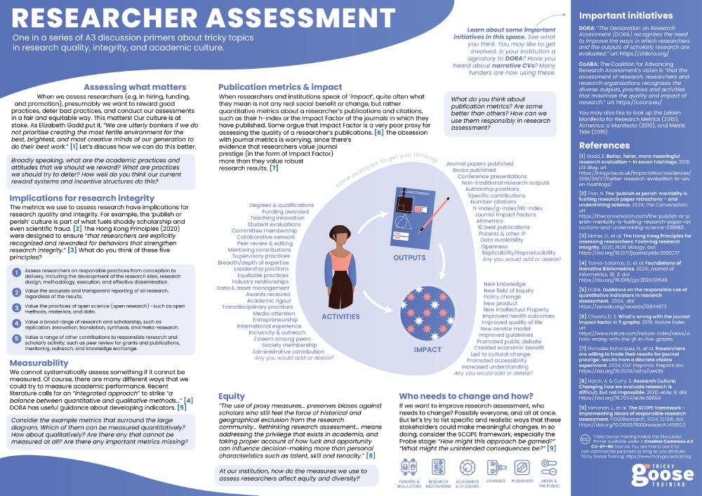 Infographic discussion primer about researcher assessment by Tricky Goose Training.