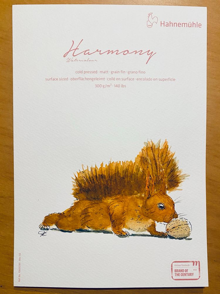 Eichhörnchen, das auf eine Walnuss zu kriecht.
Aquarellzeichnung auf Hahnemühle Harmony Testpapier mit Aufdruck.
