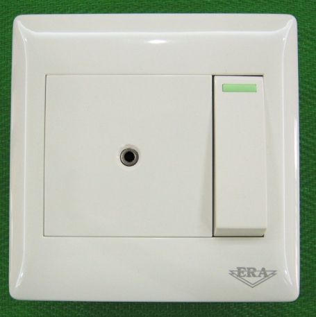 A euro-style switched outlet panel but in the middle is a small hole for an audio-style 1/8" jack.