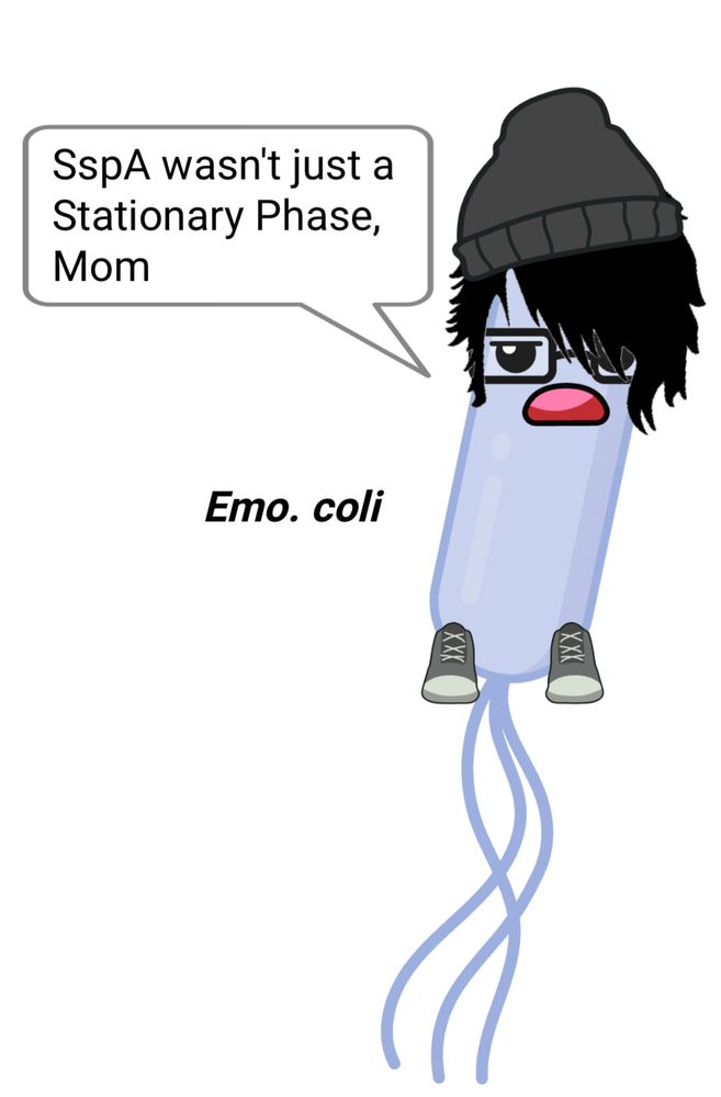 Cartoon bacteria with black side swept bangs, converse, black square glasses to look “emo” with the caption “SspA wasn’t just a stationary phase, Mom” 