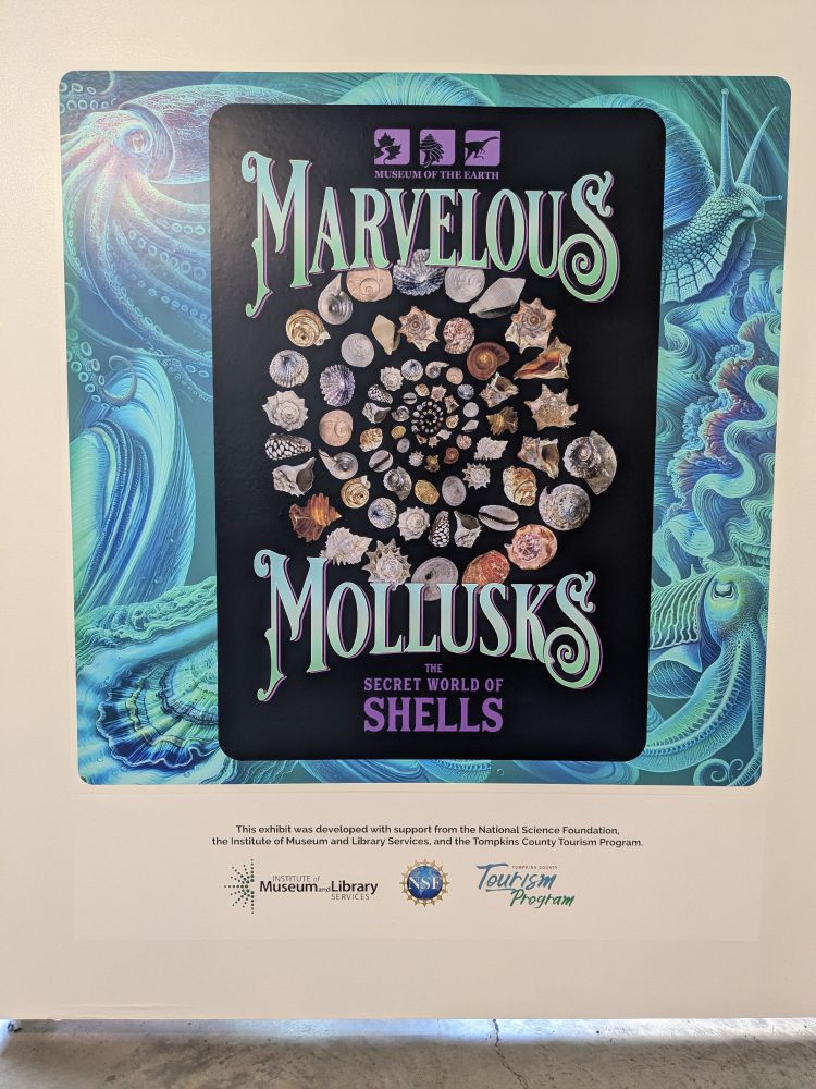 Sign for "Marvelous Mollusks", an exhibit at the Museum of the Earth. Font has a distinct traveling show/circus feel to it, and the color palette is vivid.