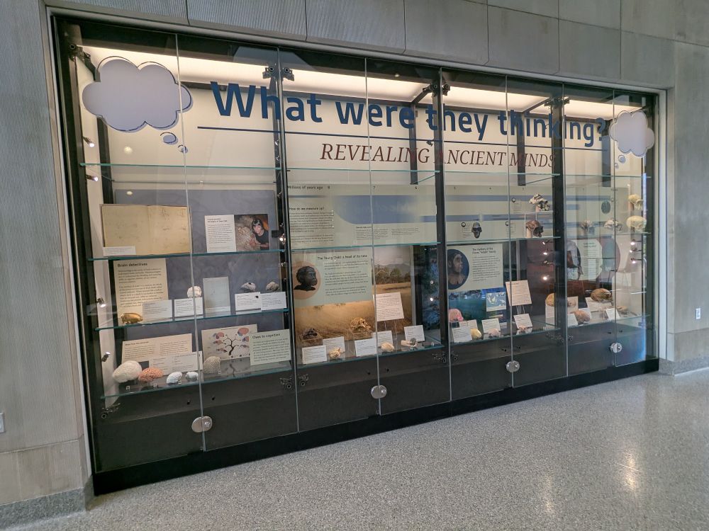 Display case with large text "What were they thinking? Revealing ancient minds."