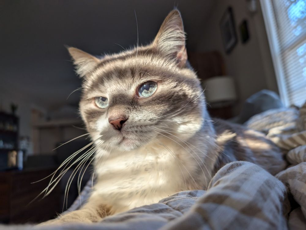 Sweet Pavas bathed in light from the outdoors- the window blinds make a striated effect of light on her face. They make her bright blue eyes glisten.