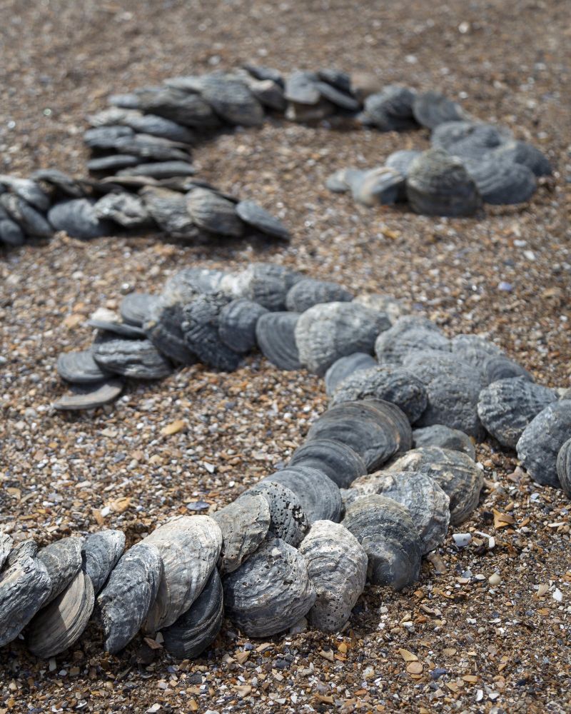 A close-up shot of an ampersand formed by arranging oyster shells on the beach.