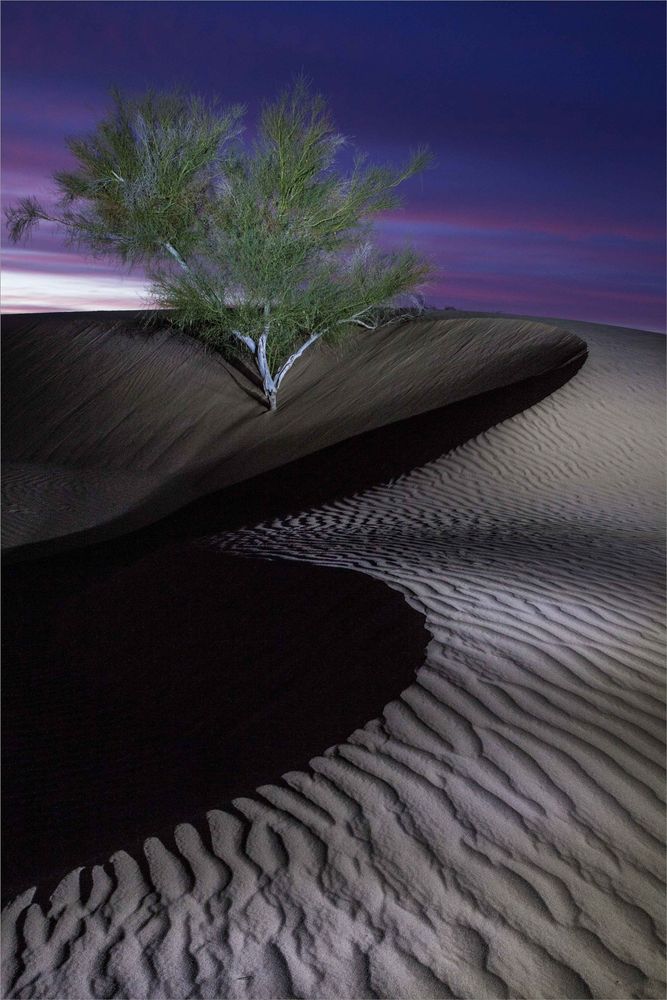 Imperial Sand Dunes in southern California (aka "Algadones Dunes"). This is a 30-second exposure at twilight with two remote flashes illuminating the scene.