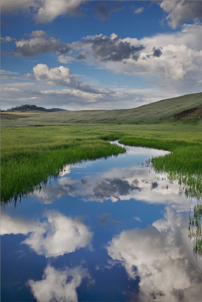 Burro Creek in the White Mts. of eastern Arizona. Not too far downstream from this spot the creek feeds into the West Fork of the Black River.