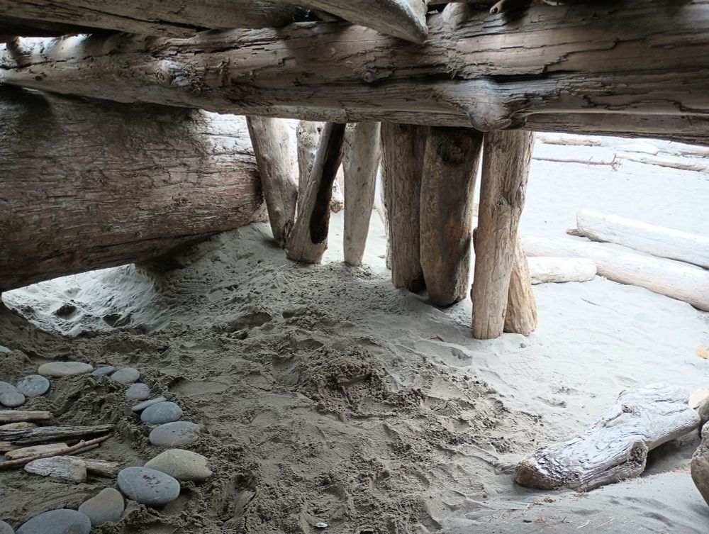 Beachfront property constructed entirely of driftwood and old logs!