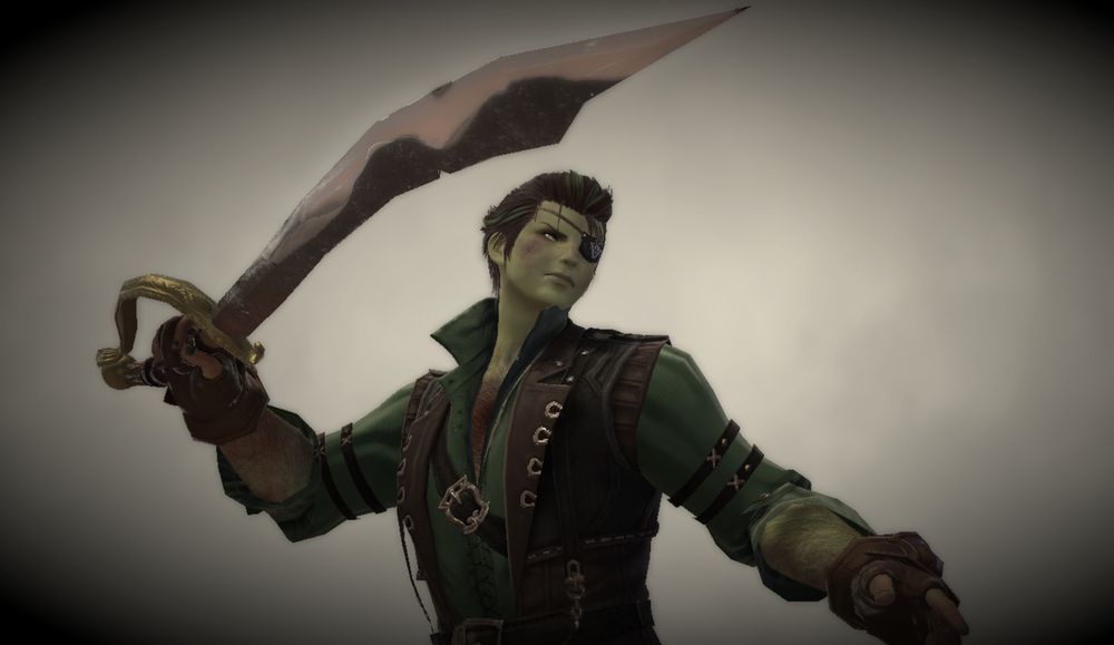A roegadyn man holding his sword aloft, looking to the right with a frown.
