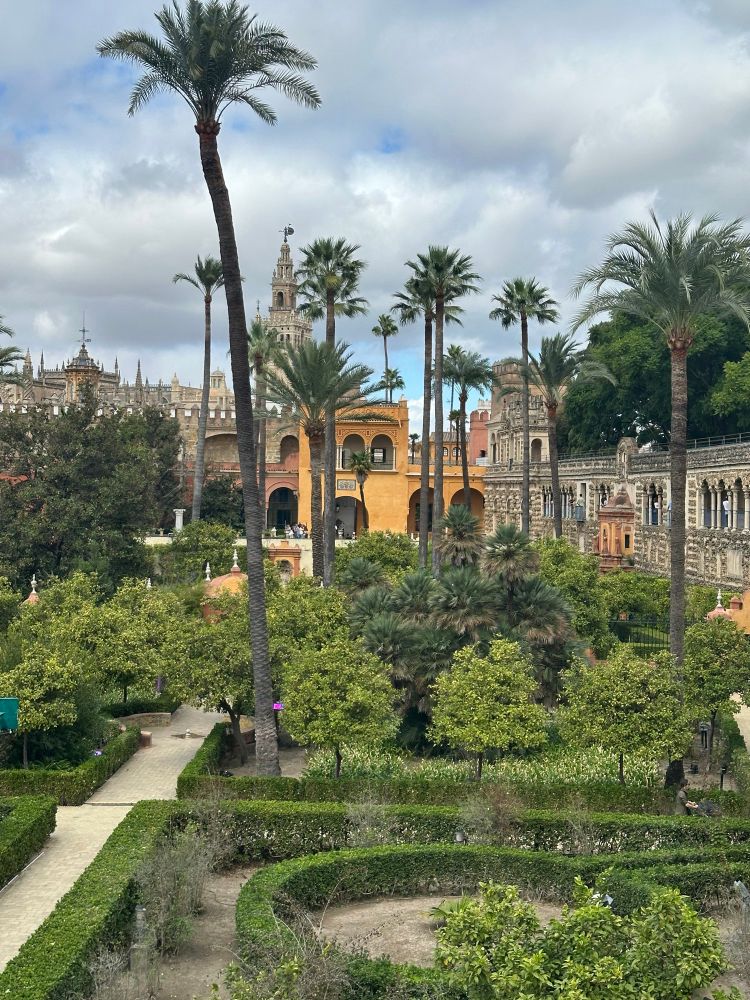 A view of the royal gardens with the Giralda tower/cathedral in the distance 