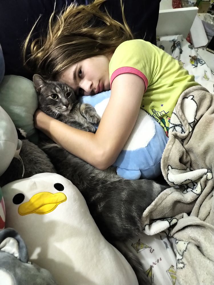 A teenage boy with long blond hair snuggles with a large grey tabby cat. A silly white goose stuffy in the foreground looks directly into the camera.