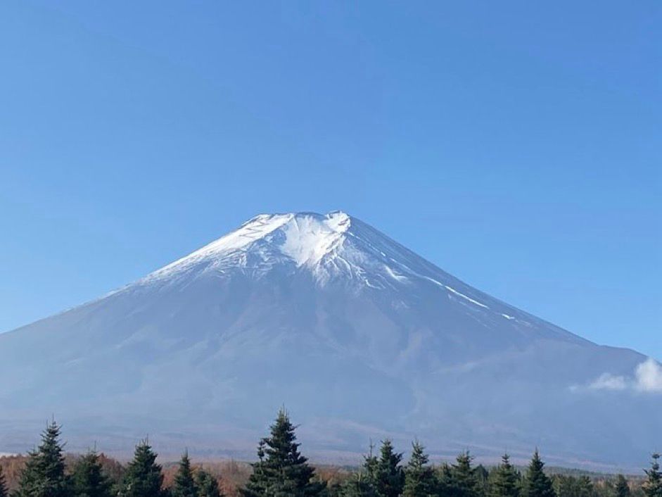 Le Mont Fuji au sommet enneigé, des arbres et le ciel bleu. 