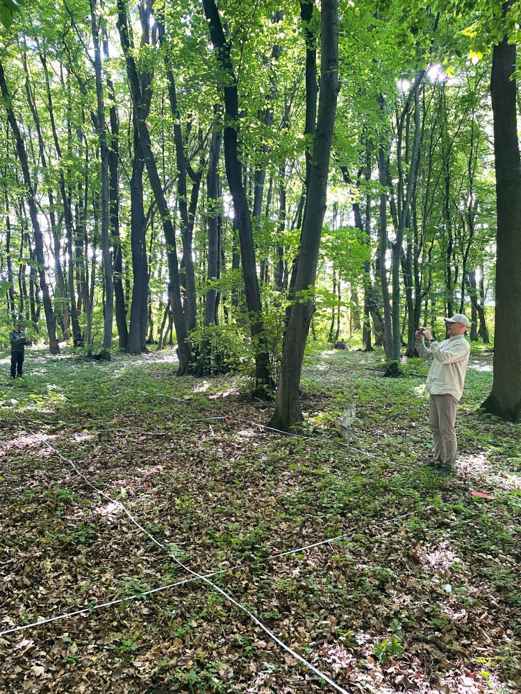 Scientists lay out 3x5 meter subplots in floodplain forest north of Bratislava/Slovakia for studying plant diversity and forest structure. Photo courtesy of Andy Geschwendtas (LUH). 