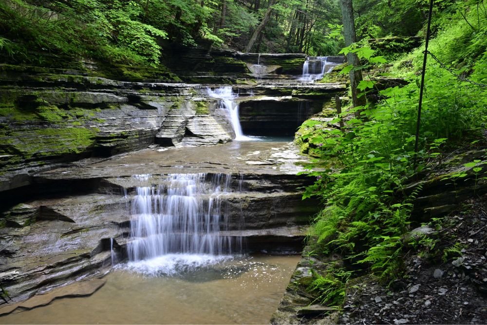 Unprocessed raw image from my good camera somewhere along Buttermilk Falls Gorge. Three small cascades each drop about 6’ with 30’ between each cascade. Uber green ferns and forest cover the gorge sides. Water is streaky due to long exposure.