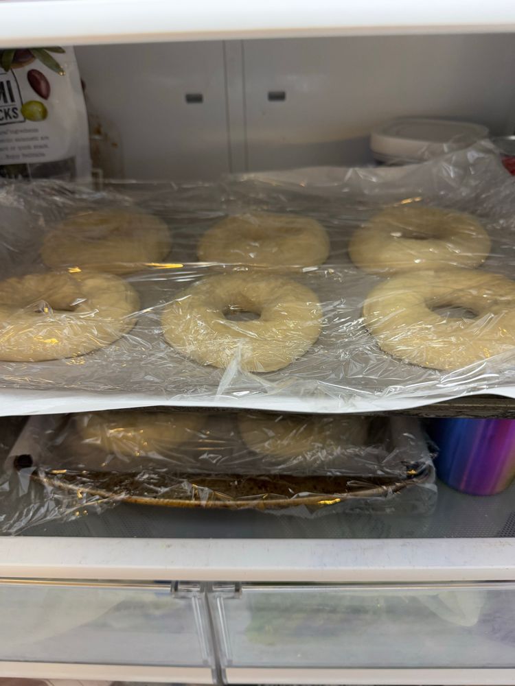 Two trays of raw bagels are covered in the saran wrap and sitting in the refrigerator