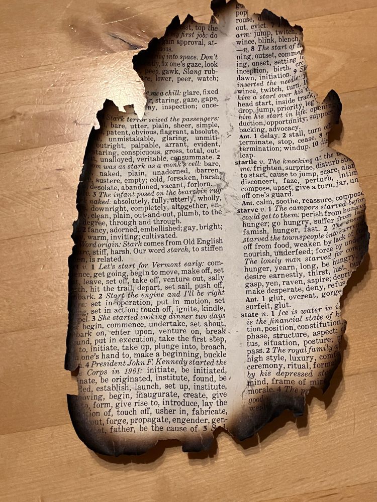charred page from a dictionary