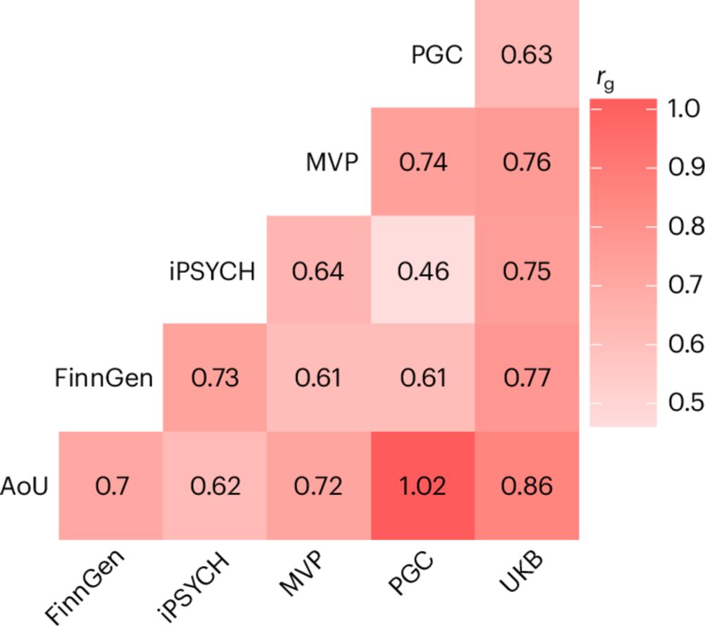 Gene discovery and biological insights into anxiety disorders from a large-scale multi-ancestry genome-wide association study