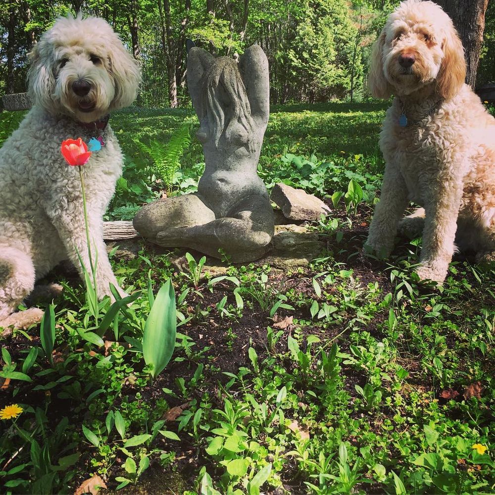 The doodle girls pose with a sculpture in the garden at Perivale Gallery