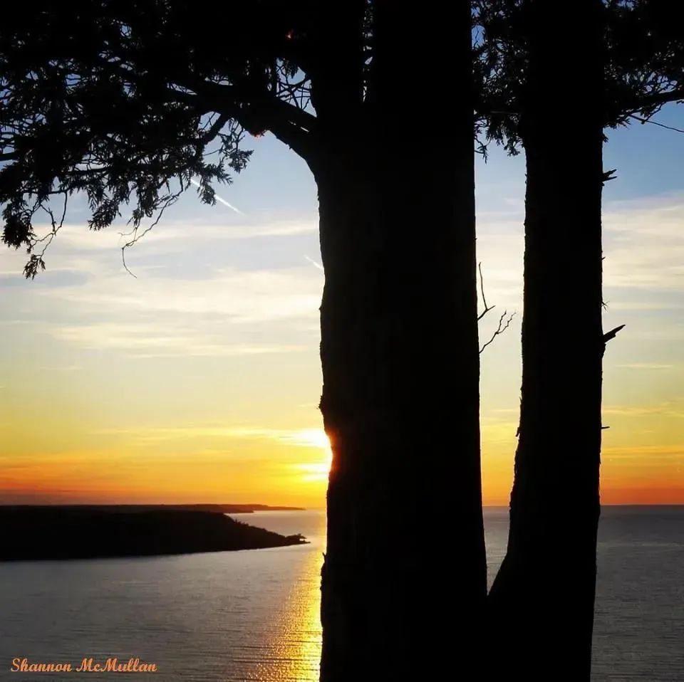 Tree silhouetted in front of vibrant sunset looking over water and a bay of the North Channel on Manitoulin Island