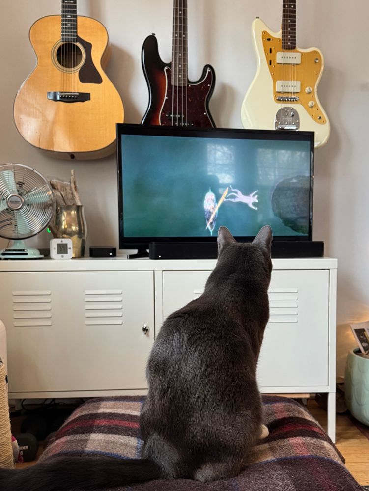 A grey cat sits on a plaid blanket. His posture is up and alert, his back is to us, and he is intently watching a TV in front of him which shows a scene from the movie Flow where a cat is small on the screen immersed in a sea of blue water.