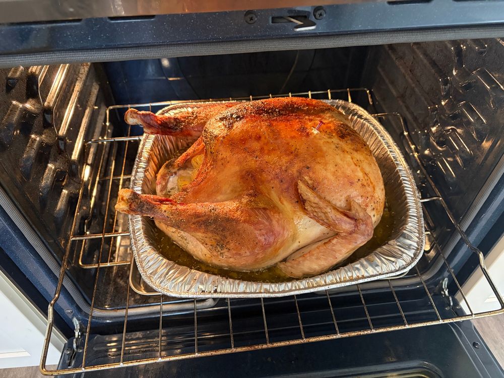 A turkey on a rack in the oven