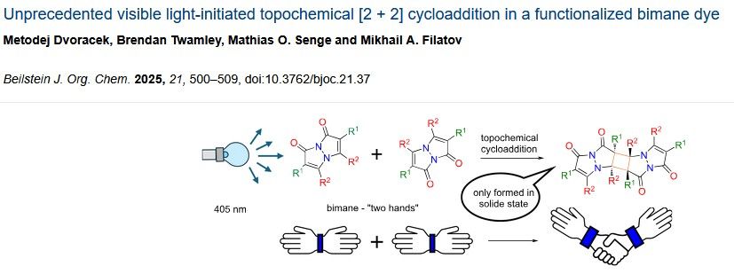 Bimanes, a class of molecules based on the 1H,7H-pyrazolo[1,2-a]pyrazole-1,7-dione scaffold, were first introduced by E. M. Kosower in 1978. In this study, we report the topochemical cycloaddition of diethyl 2,6-dichloro-1,7-dioxo-1H,7H-pyrazolo[1,2-a]pyrazole-3,5-dicarboxylate (Cl2B), initiated by visible light. Crystal structure analysis confirmed that the reactive double bonds are parallel and coplanar, in line with the Schmidt criteria for topochemical cycloaddition. Additionally, two other bimane derivatives with different substitution patterns were synthesized and investigated. Our findings suggest that functionalizing bimanes to redshift their absorption maxima into the visible-light spectrum provides a promising strategy for synthesizing substituted cyclobutanes without the need for ultraviolet irradiation.