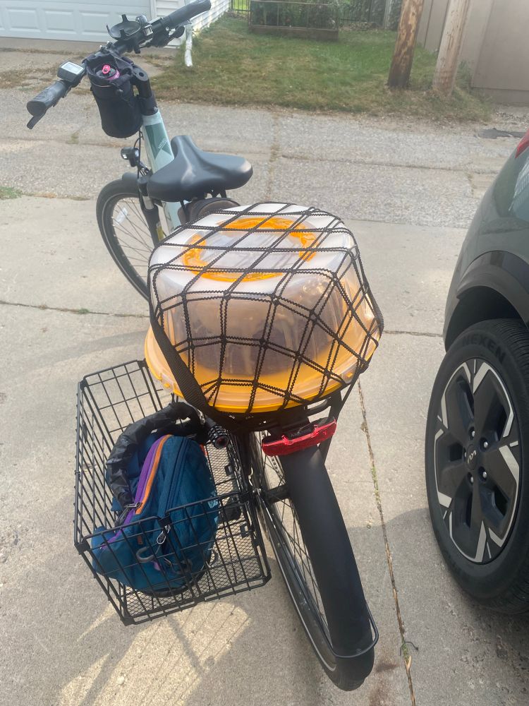 Cake strapped to back of bike