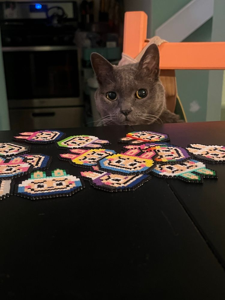 Dusty in front of queer flags labubus! 