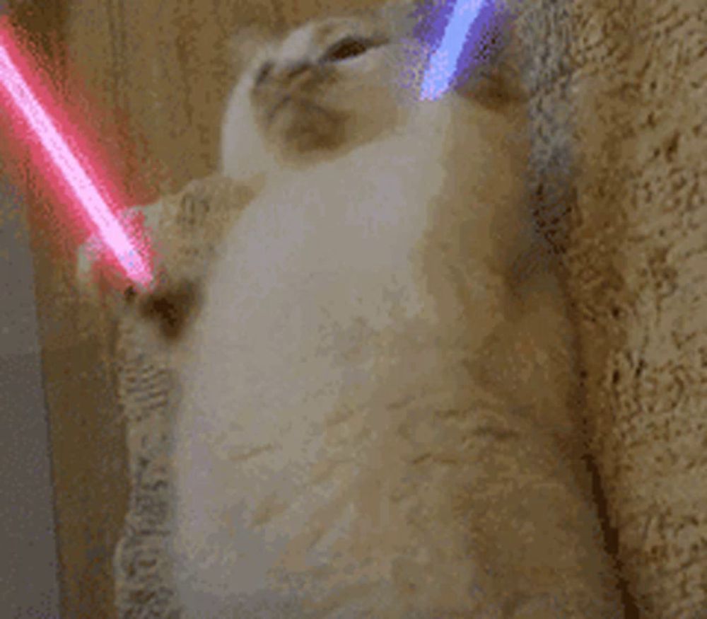 a pixelated image of a cat with two lightsabers behind it