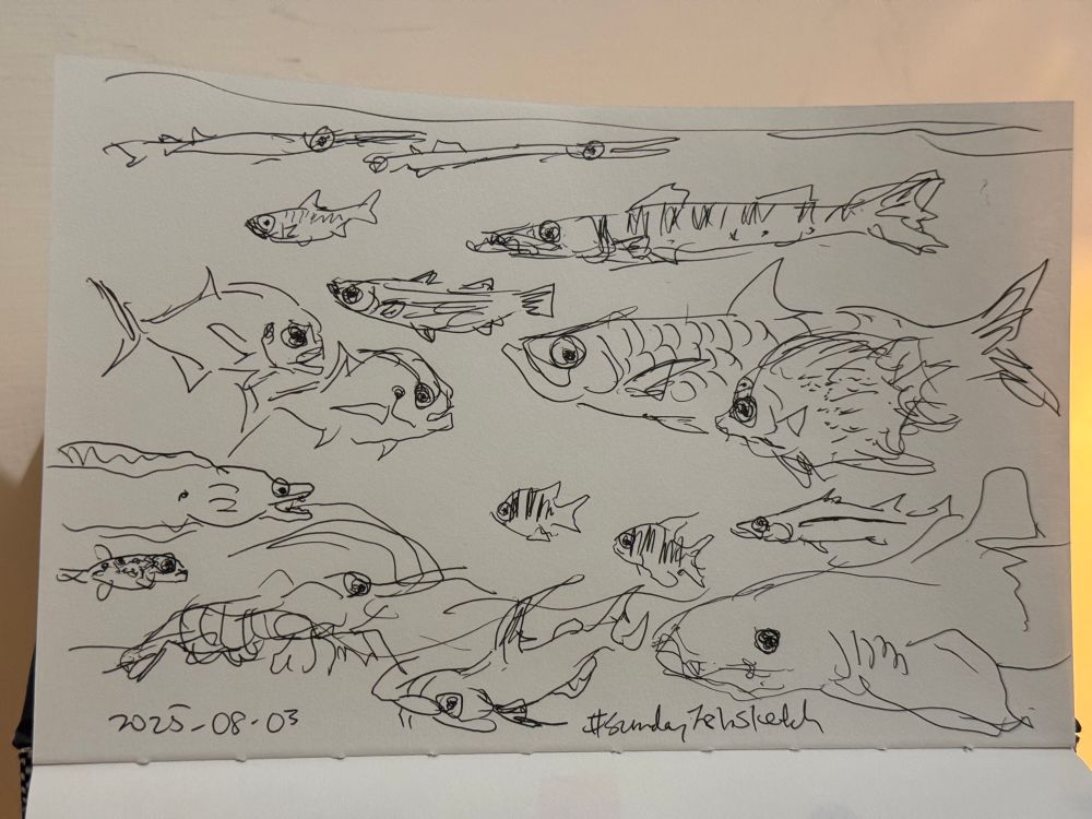 Horizontal photo of a pen sketch showing a kaleidoscope of Florida fish species in scratchy, scrawled style with goggly eyes.