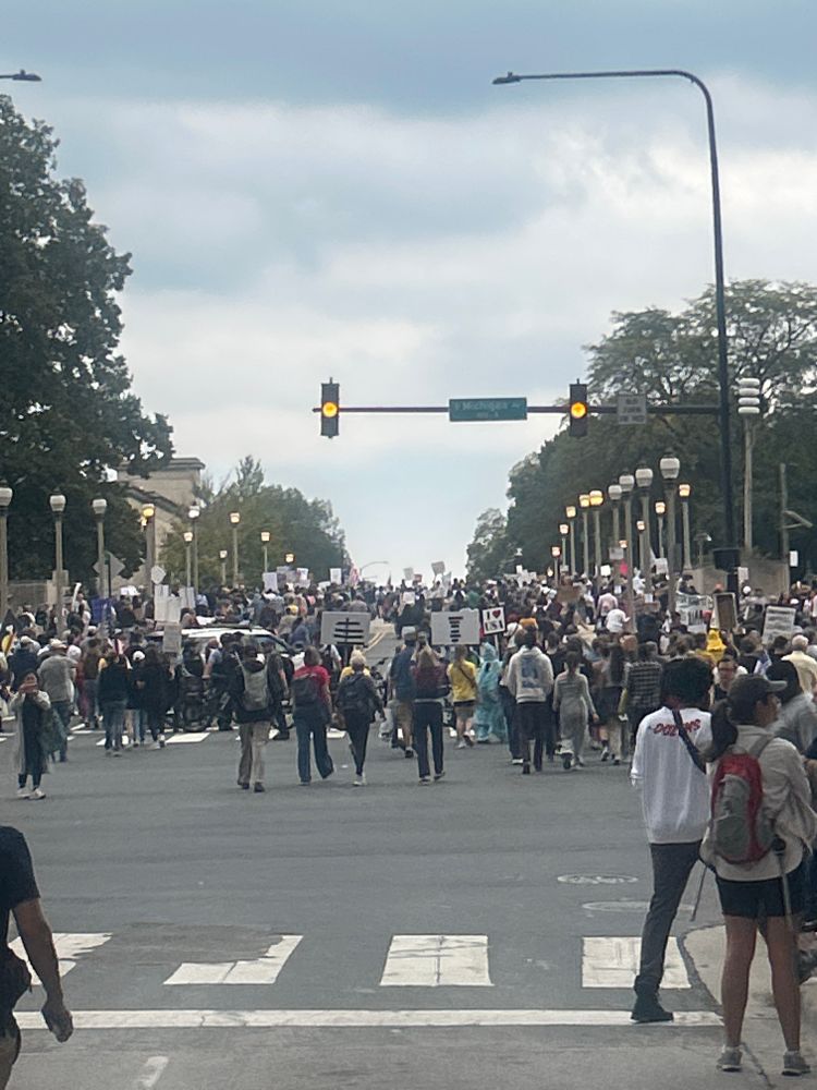 Crowds headed to Grant Park at Michigan Ave and Jackson Chicago