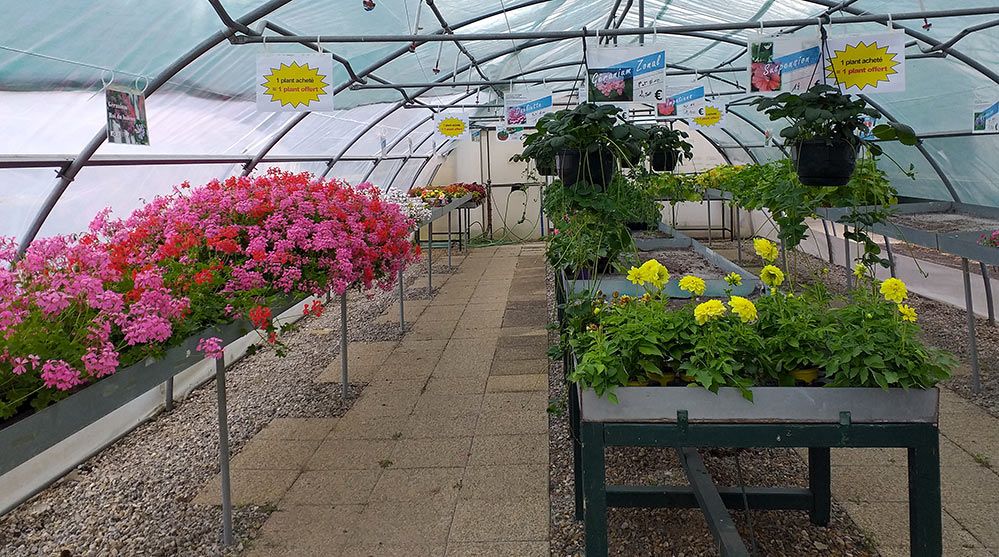Une pépinière avec pleins de jolies fleurs.