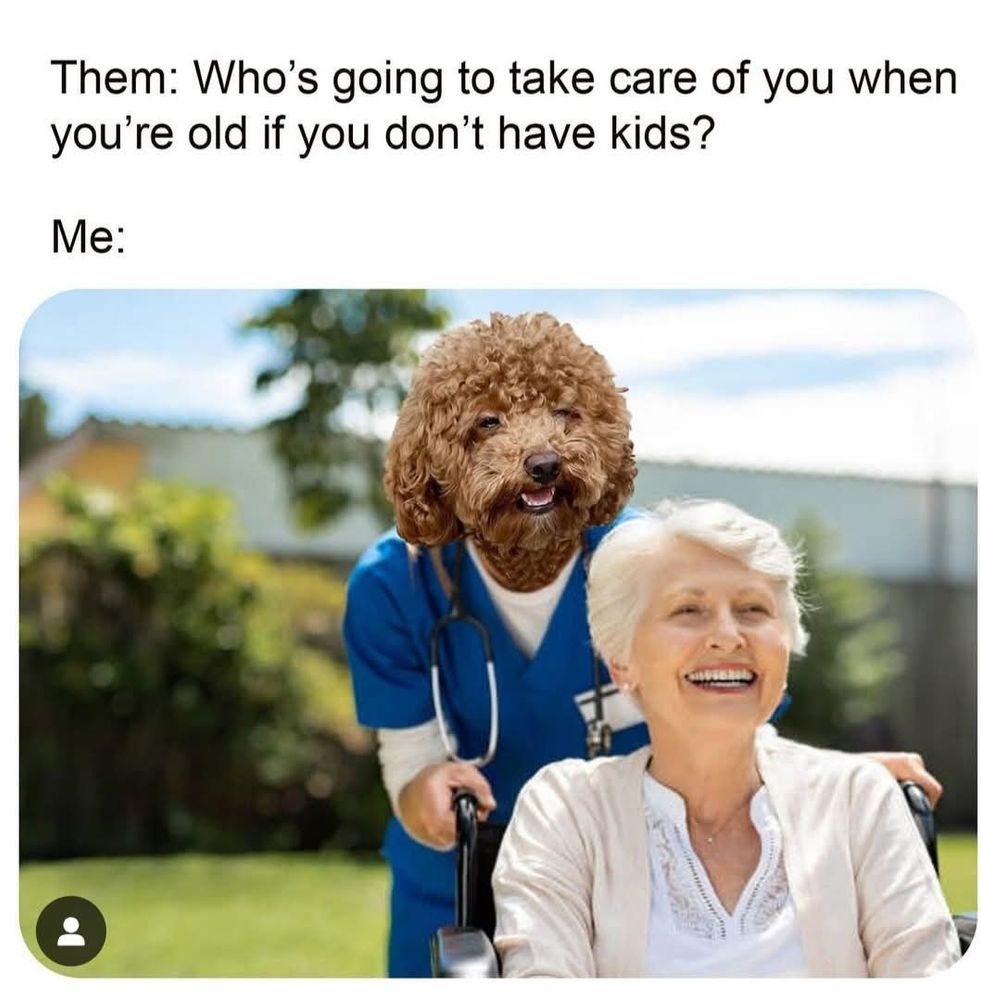Text - Them: Who's going to take care of you when you're old if you don't have kids?
Beneath is a pic of a happy elderly woman in a wheelchair being pushed by a happy dog in medical scrubs
The pic is really a dogs head photoshoped on a human body but the implication is still a dog will be the caretaker