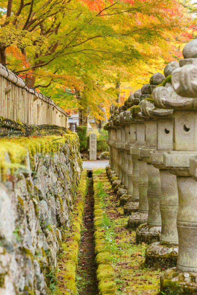 Blick einen kleinen Graben entlang. Links eine Steinmauer, rechts Stelen. Darüber hängen Bäume mit üppigem Herbstlaub in gelb, rot und grün.